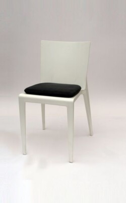 mit Sitzkissen in anthrazit mit Sitzkissen in anthrazit