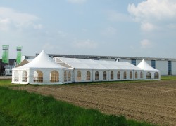 Exklusiv-Zelte mit Pagodendächern Exklusiv-Zelte mit Pagodendächern